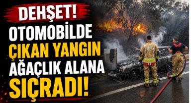 Dehşet! Otomobilde Çıkan Yangın Ağaçlık Alana Sıçradı
