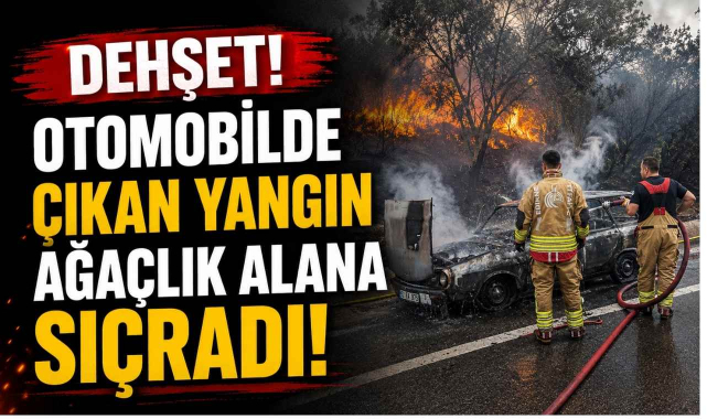 Dehşet! Otomobilde Çıkan Yangın Ağaçlık Alana Sıçradı