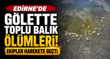 Edirne'de Gölette Toplu Balık Ölümleri! Ekipler Harekete Geçti 