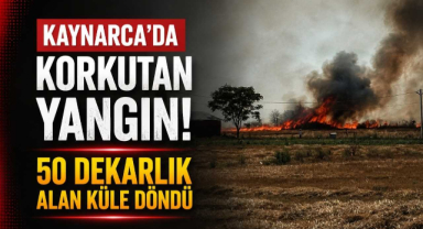 Kaynarca'da Korkutan Yangın! 50 Dekarlık Alan Küle Döndü