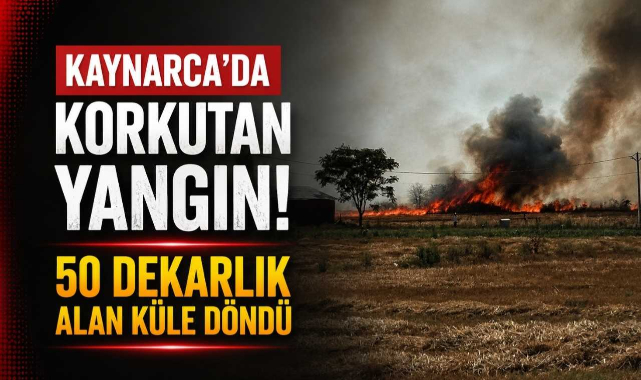 Kaynarca'da Korkutan Yangın! 50 Dekarlık Alan Küle Döndü