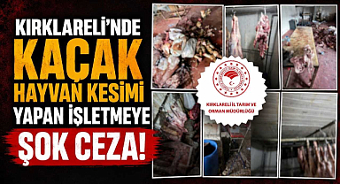 Kırklareli'nde Kaçak Hayvan Kesimi Yapan İşletmeye Şok Ceza!