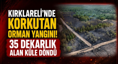 Kırklareli'nde Korkutan Orman Yangını! 35 Dekarlık Alan Küle Döndü