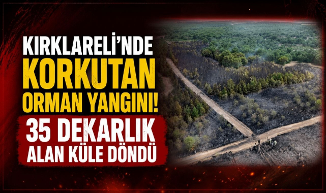 Kırklareli'nde Korkutan Orman Yangını! 35 Dekarlık Alan Küle Döndü