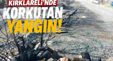 Kırklareli’nde Korkutan Yangın!