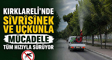 Kırklareli'nde Sivrisinek ve Uçkunla Mücadele Tüm Hızıyla Sürüyor