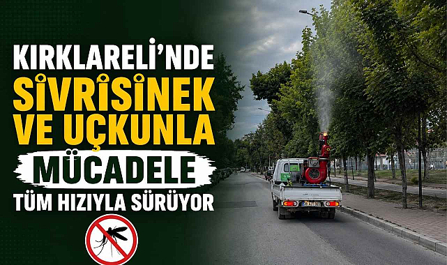 Kırklareli'nde Sivrisinek ve Uçkunla Mücadele Tüm Hızıyla Sürüyor