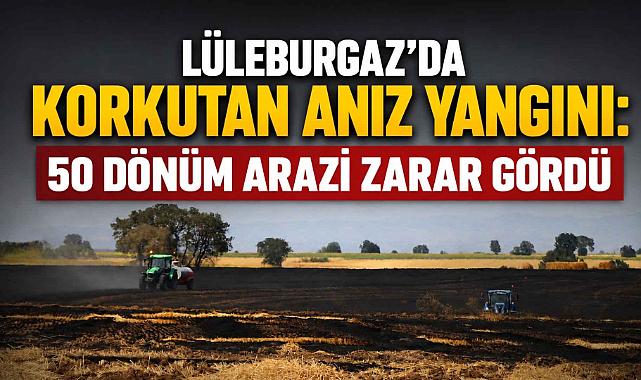 Lüleburgaz’da Korkutan Anız Yangını! 50 Dönüm Arazi Zarar Gördü