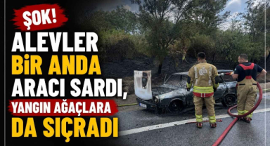 Şok! Alevler Bir Anda Aracı Sardı, Yangın Ağaçlara da Sıçradı