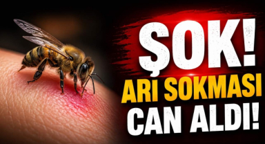 Şok! Arı Sokması Can Aldı!