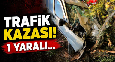 Trafik Kazası! 1 Yaralı…
