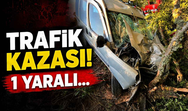 Trafik Kazası! 1 Yaralı…
