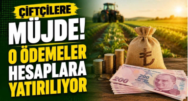 Çiftçilere Müjde! O Ödemeler Hesaplara Yatırılıyor