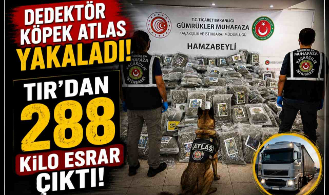 Dedektör Köpek Atlas Yakaladı! TIR’dan 288 Kilo Esrar Çıktı