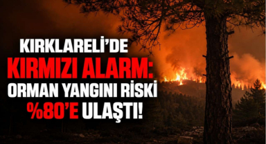 Kırklareli’de Kırmızı Alarm: Orman Yangını Riski %80’e Ulaştı!