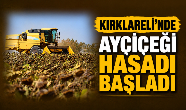 Kırklareli'nde ayçiçeği hasadı başladı