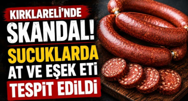 Kırklareli’nde Skandal! Sucuklarda At ve Eşek Eti Tespit Edildi