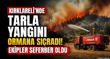 Kırklareli'nde Tarla Yangını Ormana Sıçradı! Ekipler Seferber Oldu