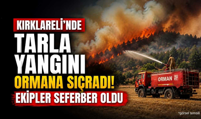 Kırklareli'nde Tarla Yangını Ormana Sıçradı! Ekipler Seferber Oldu