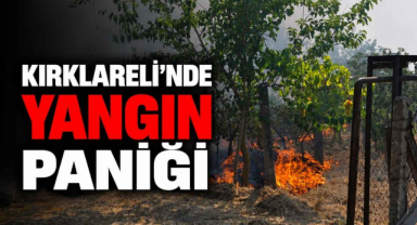Kırklareli'nde Yangın Paniği
