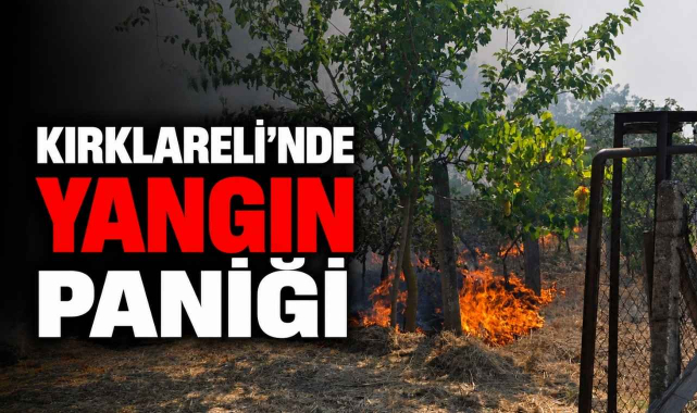 Kırklareli'nde Yangın Paniği