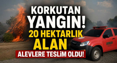 Korkutan Yangın! 20 Hektarlık Alan Alevlere Teslim Oldu!