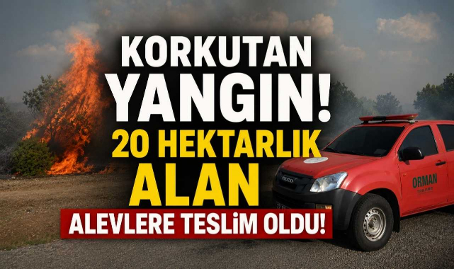 Korkutan Yangın! 20 Hektarlık Alan Alevlere Teslim Oldu!