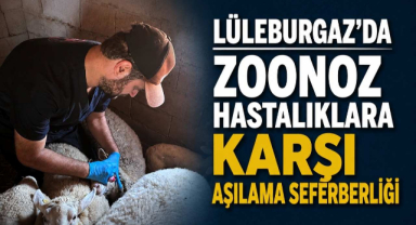 Lüleburgaz'da Zoonoz Hastalıklara Karşı Aşılama Seferberliği 
