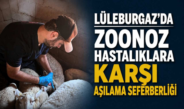 Lüleburgaz'da Zoonoz Hastalıklara Karşı Aşılama Seferberliği