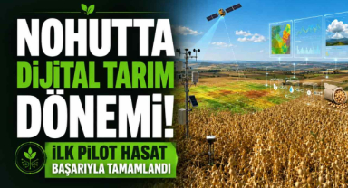 Nohutta Dijital Tarım Dönemi! İlk Pilot Hasat Başarıyla Tamamlandı 
