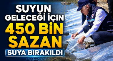 Suyun Geleceği İçin 450 Bin Sazan Suya Bırakıldı