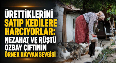 Ürettiklerini Satıp Kedilere Harcıyorlar: Nezahat ve Rüştü Özbay Çiftinin Örnek Hayvan Sevgisi