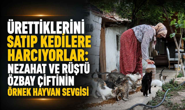 Ürettiklerini Satıp Kedilere Harcıyorlar: Nezahat ve Rüştü Özbay Çiftinin Örnek Hayvan Sevgisi