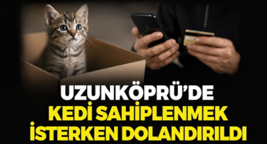 Uzunköprü’de Kedi Sahiplenmek İsterken Dolandırıldı