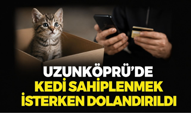 Uzunköprü’de Kedi Sahiplenmek İsterken Dolandırıldı