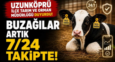 Uzunköprü İlçe Tarım ve Orman Müdürlüğü Duyurdu! Buzağılar Artık 7/24 Takipte!