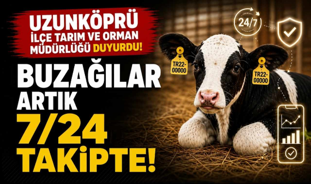 Uzunköprü İlçe Tarım ve Orman Müdürlüğü Duyurdu! Buzağılar Artık 7/24 Takipte!