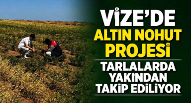 Vize'de Altın Nohut Projesi Tarlalarda Yakından Takip Ediliyor 