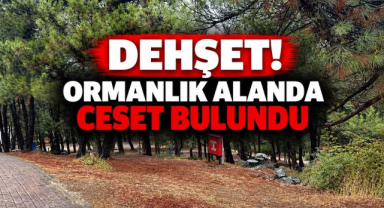 Dehşet! Ormanlık Alanda Ceset Bulundu