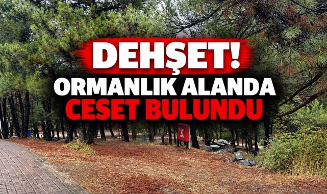 Dehşet! Ormanlık Alanda Ceset Bulundu