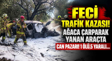 Feci Trafik Kazası! Ağaca Çarparak Yanan Araçta Can Pazarı! 1 Ölü, 5 Yaralı…