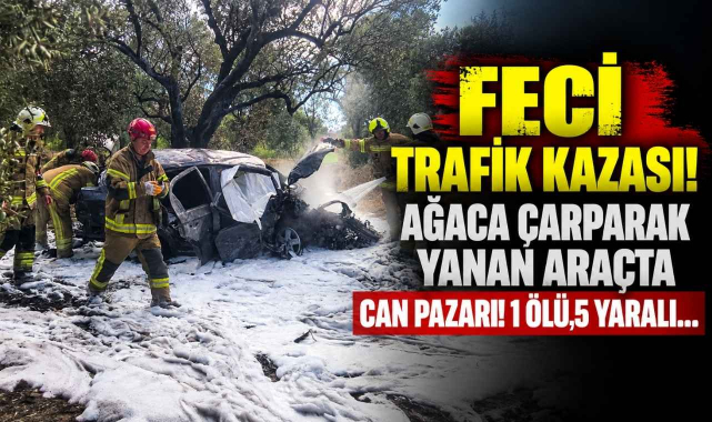 Feci Trafik Kazası! Ağaca Çarparak Yanan Araçta Can Pazarı! 1 Ölü, 5 Yaralı…