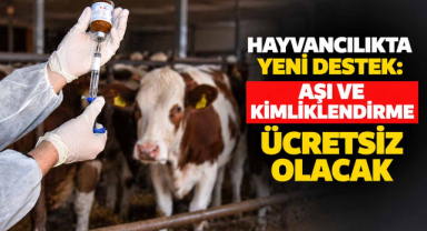 Hayvancılıkta Yeni Destek: Aşı ve Kimliklendirme Ücretsiz Olacak