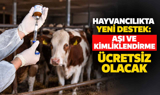 Hayvancılıkta Yeni Destek: Aşı ve Kimliklendirme Ücretsiz Olacak