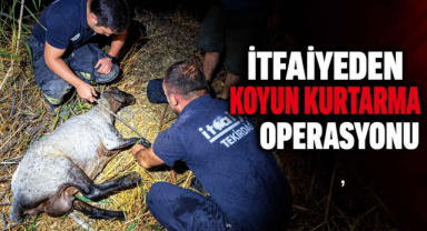 İtfaiyeden Koyun Kurtarma Operasyonu