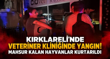 Kırklareli’nde Veteriner Kliniğinde Yangın! Mahsur Kalan Hayvanlar Kurtarıldı