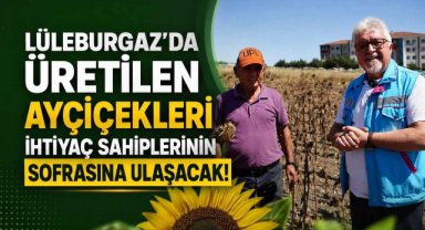 Lüleburgaz'da Üretilen Ayçiçekleri İhtiyaç Sahiplerinin Sofrasına Ulaşacak!