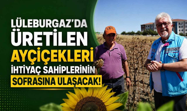 Lüleburgaz'da Üretilen Ayçiçekleri İhtiyaç Sahiplerinin Sofrasına Ulaşacak!
