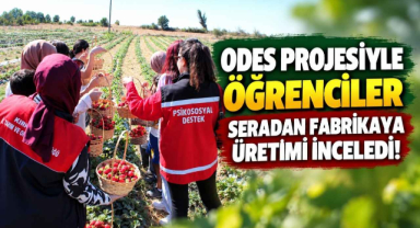 ODES Projesiyle Öğrenciler Seradan Fabrikaya Üretimi İnceledi!