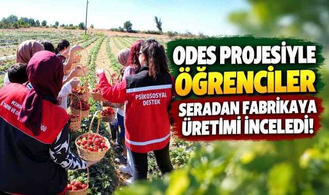 ODES Projesiyle Öğrenciler Seradan Fabrikaya Üretimi İnceledi!